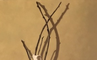 <strong>Branches, shadows, handkerchief</strong> <span class="dims">48x24”</span> oil on linen